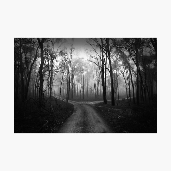 Divergence Photographic Print
