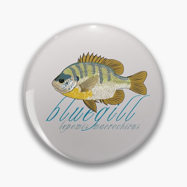 Item preview, Bluegill designed and sold by KZiegman.