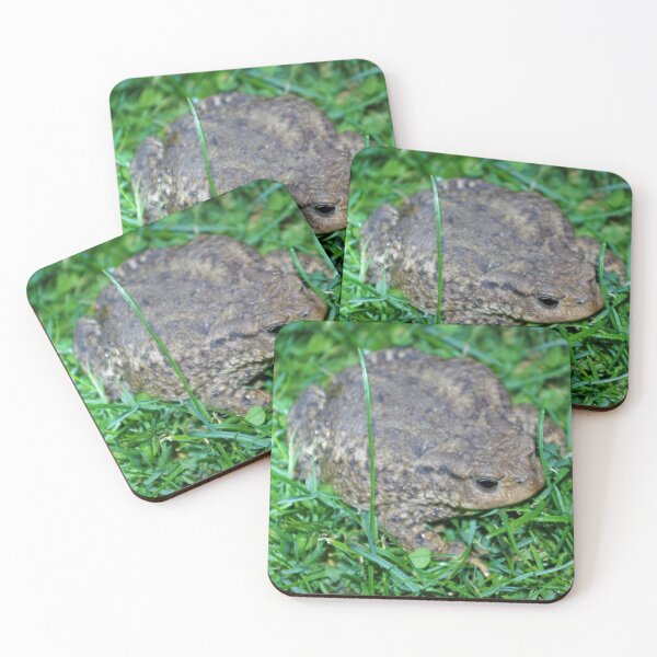 Item preview, Common Toad designed and sold by Steven Allain.