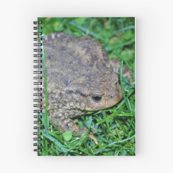 Item preview, Common Toad designed and sold by Steven Allain.
