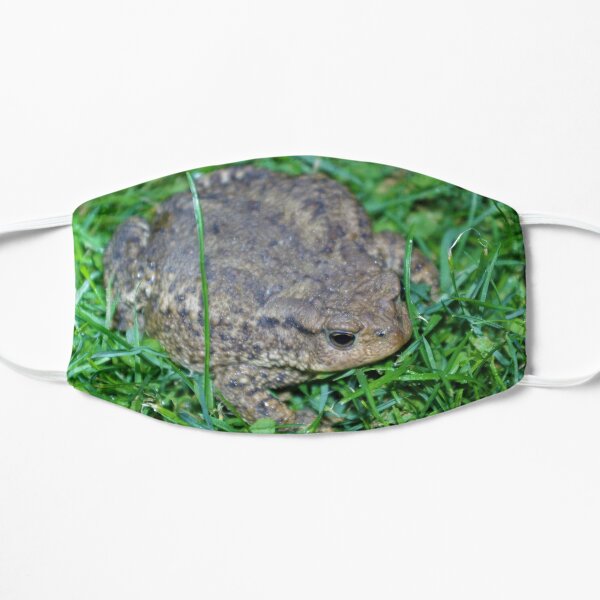 Common Toad Mask
