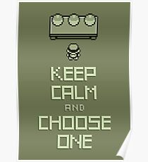 Keep Calm and Choose One Poster