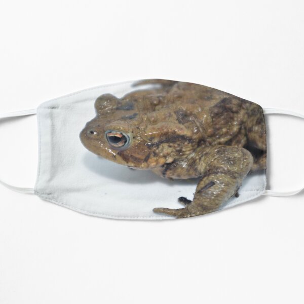 Common Toad Mask