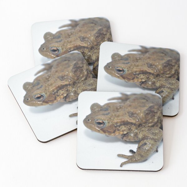 Item preview, Common Toad designed and sold by Steven Allain.