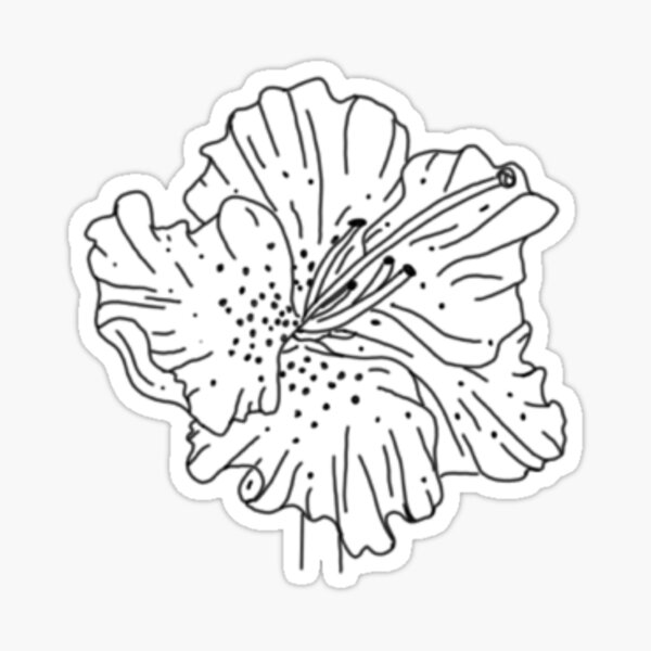 Regalos y productos: Azalea | Redbubble