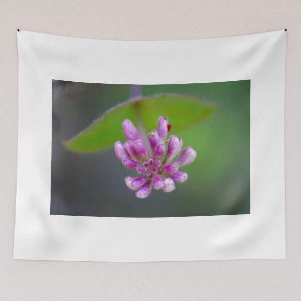 Item preview, Wild Honeysuckle  designed and sold by Emmaline Jones.