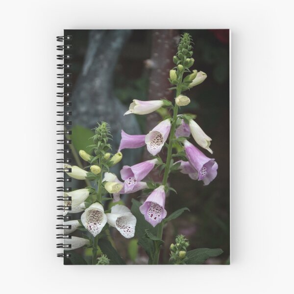 Item preview,  Foxgloves Leith Park Victoria 20151023 0483  designed and sold by Fred Mitchell.