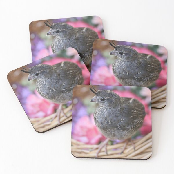 Item preview, Pezi the Quail, Spring Basket designed and sold by Emmaline Jones.