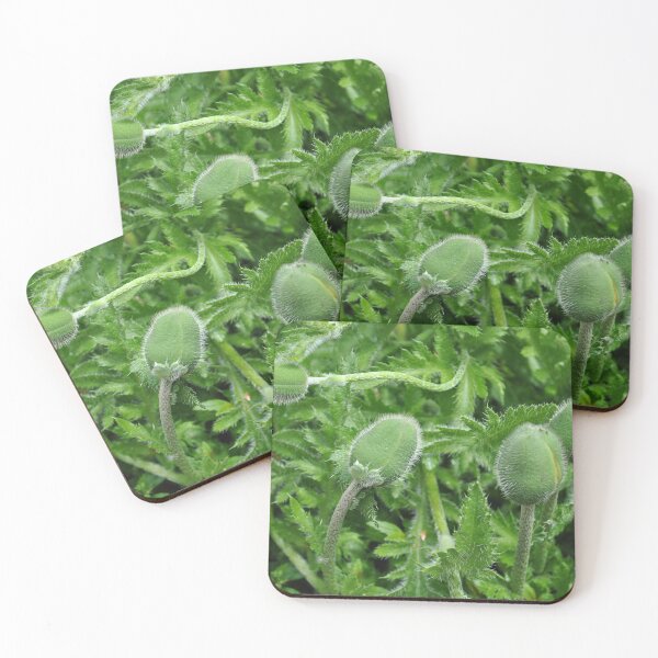 Item preview, Newborn Poppies in Oregon designed and sold by Tamara McDonnell.