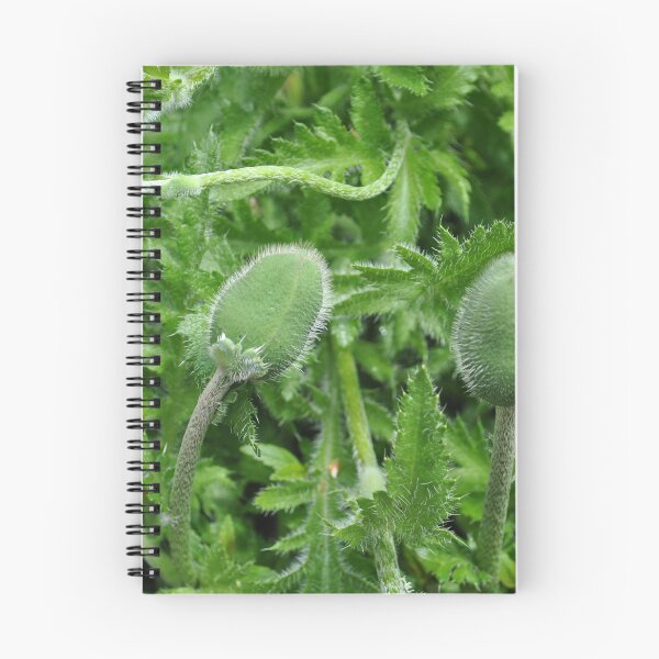 Item preview, Newborn Poppies in Oregon designed and sold by Tamara McDonnell.