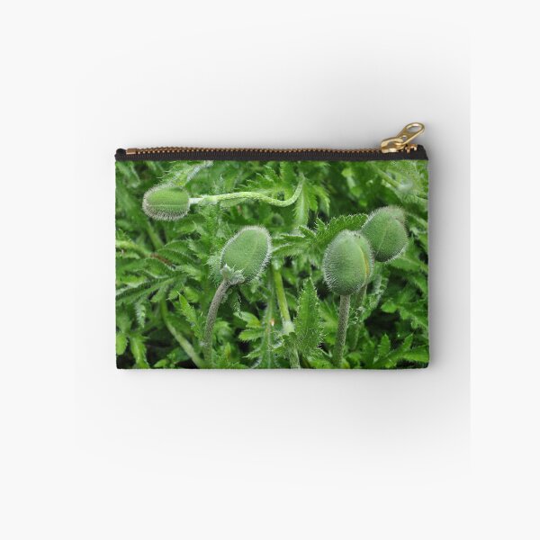 Artikelvorschau, Newborn Poppies in Oregon entworfen und verkauft von Tamara McDonnell.