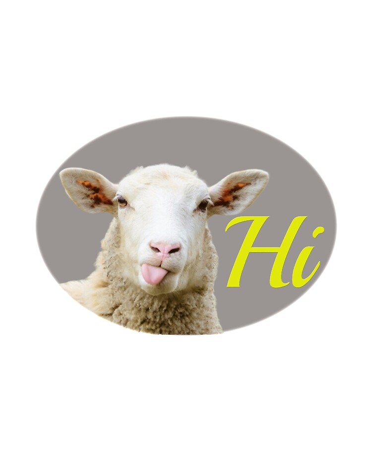 happy sheep happy sheep