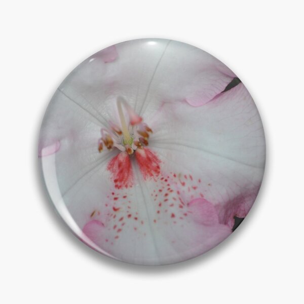Artikelvorschau, Pink Bloom entworfen und verkauft von Tamara McDonnell.