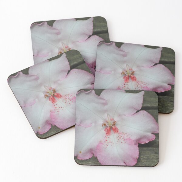 Item preview, Pink Bloom designed and sold by Tamara McDonnell.