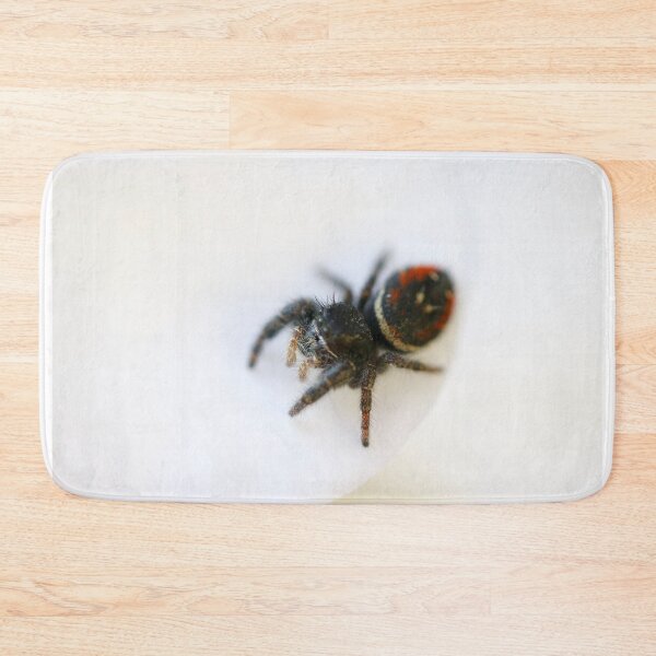 Item preview, Bathilda the Spider! designed and sold by Emmaline Jones.
