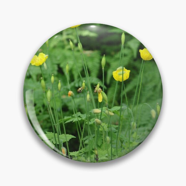 Item preview, Golden Sundrops designed and sold by Tamara McDonnell.