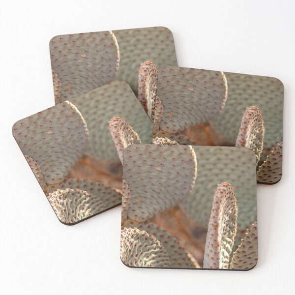 Item preview, Beavertail Cactus designed and sold by jvnimages.