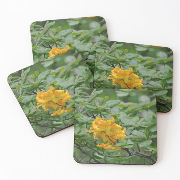 Item preview, Orange Rhodie Eugene, Oregon designed and sold by Tamara McDonnell.