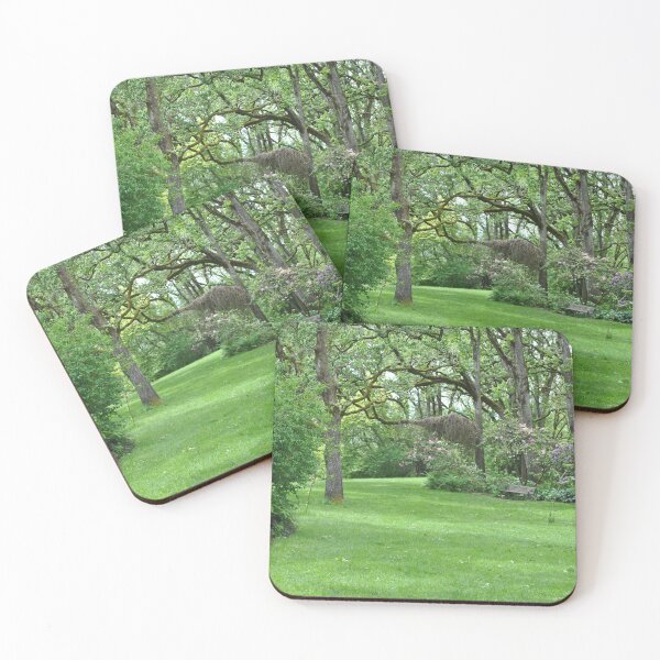 Item preview, Hendricks Park Eugene, Oregon designed and sold by Tamara McDonnell.