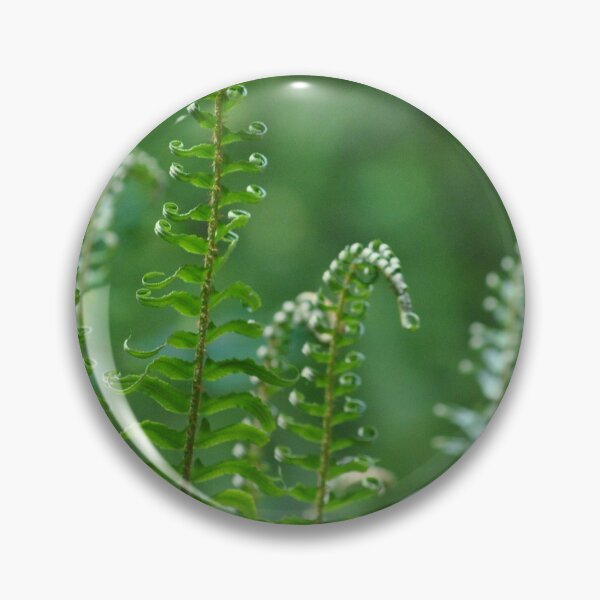Item preview, Native Oregon Fern designed and sold by Tamara McDonnell.