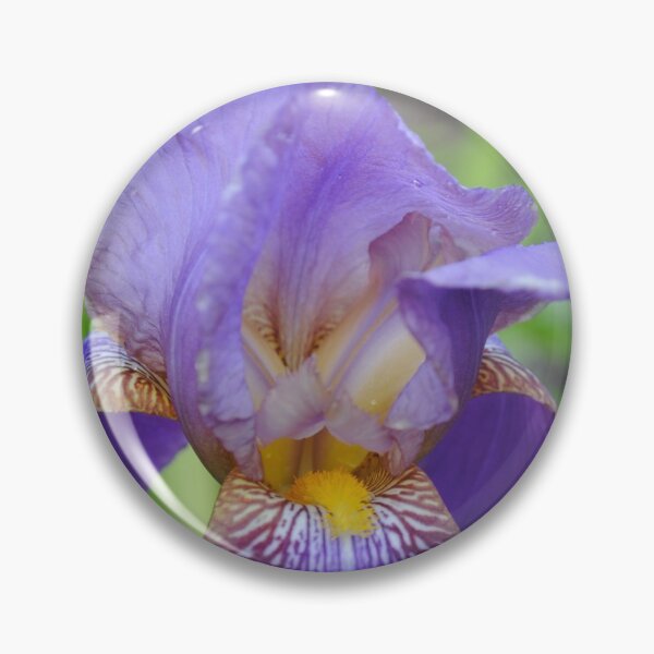 Item preview, Purple bearded Iris designed and sold by Tamara McDonnell.