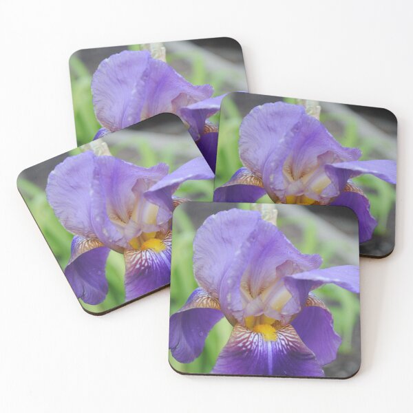 Item preview, Purple bearded Iris designed and sold by Tamara McDonnell.