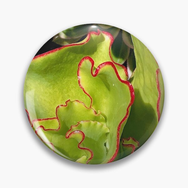 Item preview, red and green plant, succulent designed and sold by SavannahSale.