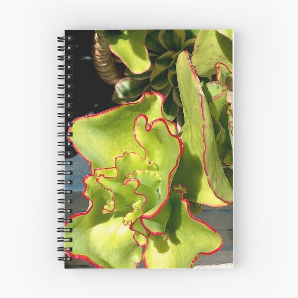 Item preview, red and green plant, succulent designed and sold by SavannahSale.