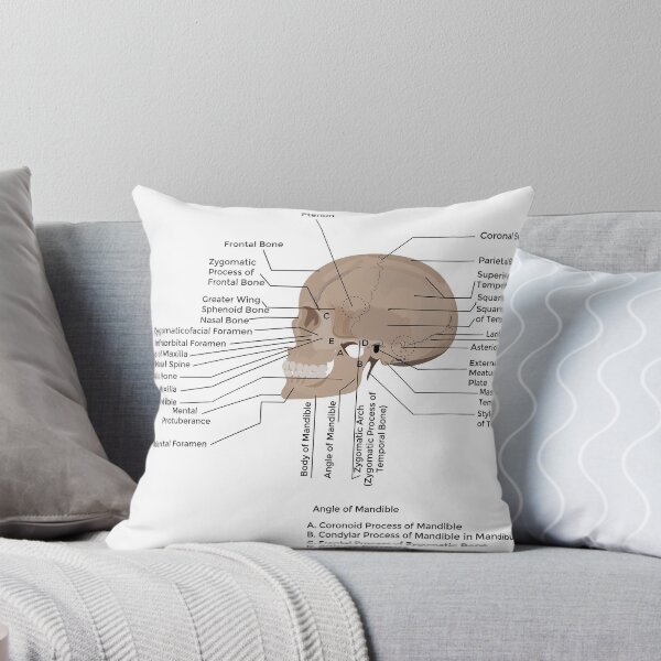 Item preview, lateral view of human skull human skull, medical poster  designed and sold by KARTICK DUTTA.