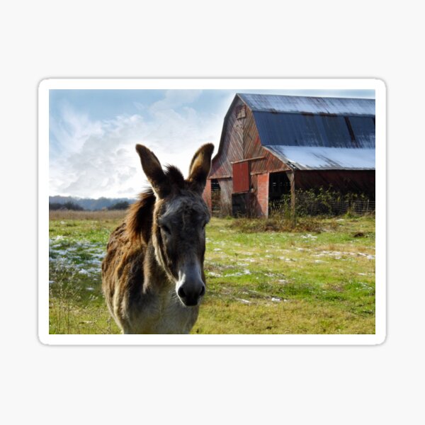 Hargroves' Mule Sticker