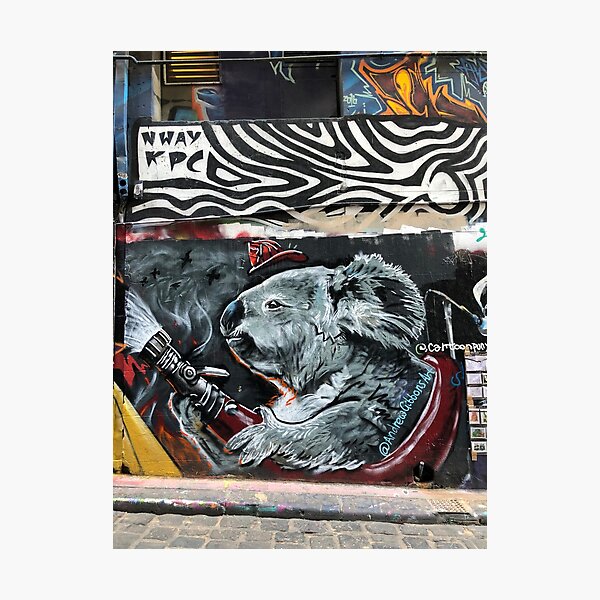 Koala Street Art (Australian Bushfires 2019-2020) Photographic Print