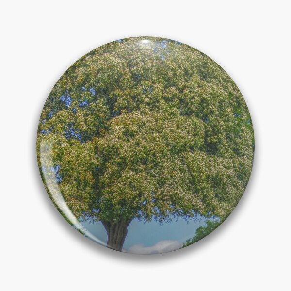 Item preview, Stand out tree designed and sold by dbrDurham.
