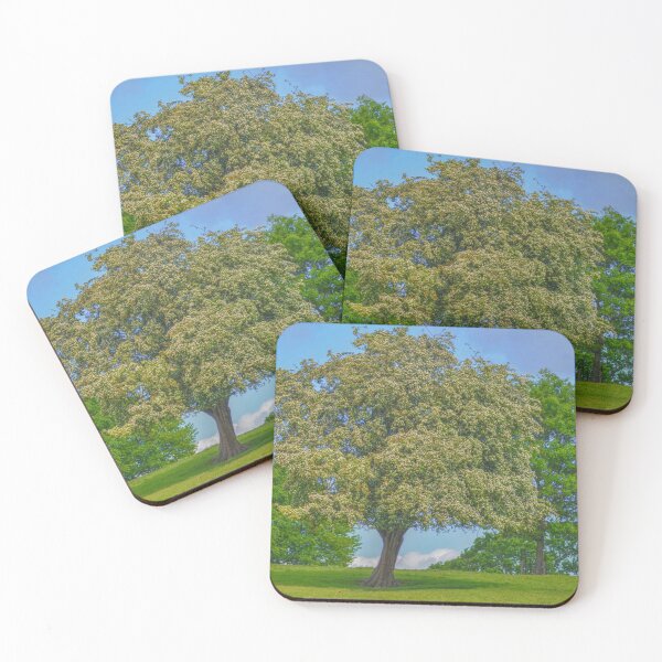 Item preview, Stand out tree designed and sold by dbrDurham.