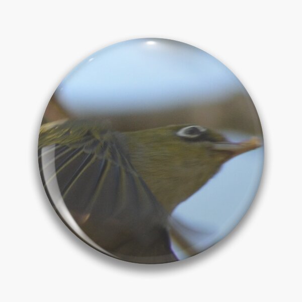 Item preview, Caught in the act- Silvereye in flight- New Zealand Birds designed and sold by lizdomett.