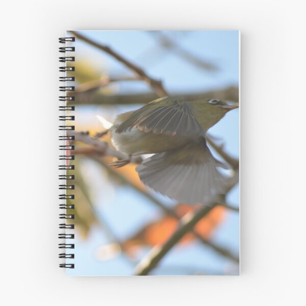 Item preview, Caught in the act- Silvereye in flight- New Zealand Birds designed and sold by lizdomett.