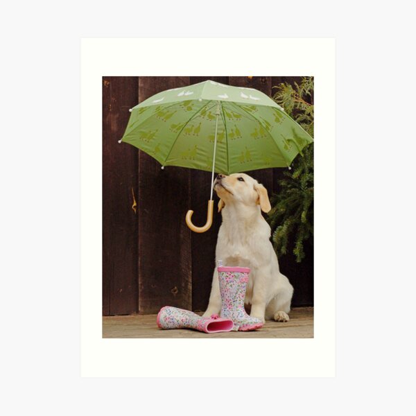 They said rain today! Art Print