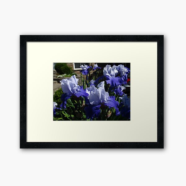 Item preview, Haunting taunting Blue Irises designed and sold by MarianBendeth.