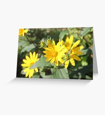 I love Yellow Greeting Card