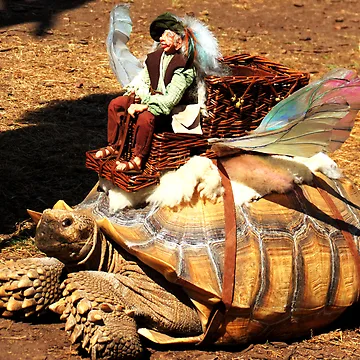 Artwork thumbnail, Slow Ride by shutterbug2010