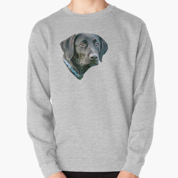 black lab sweatshirts