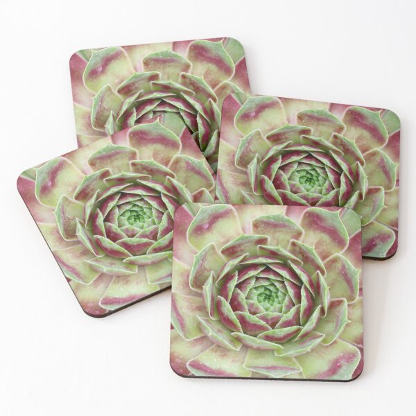 Item preview, Succulent Rosette  designed and sold by Emmaline Jones.