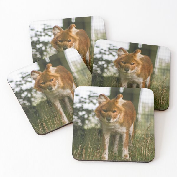 Item preview, Beautiful dhole designed and sold by KcsArt87.