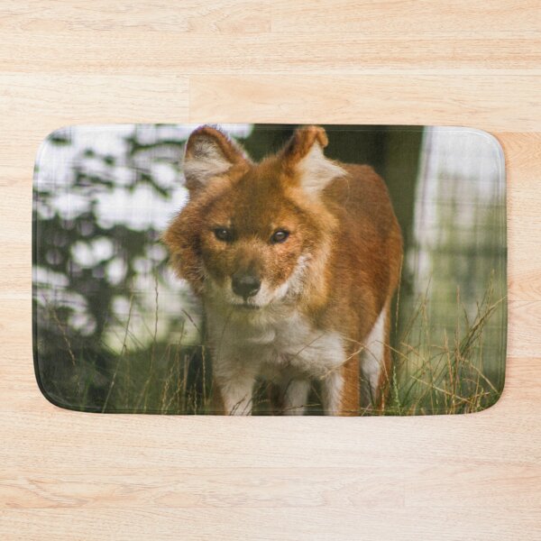 Item preview, Beautiful dhole designed and sold by KcsArt87.