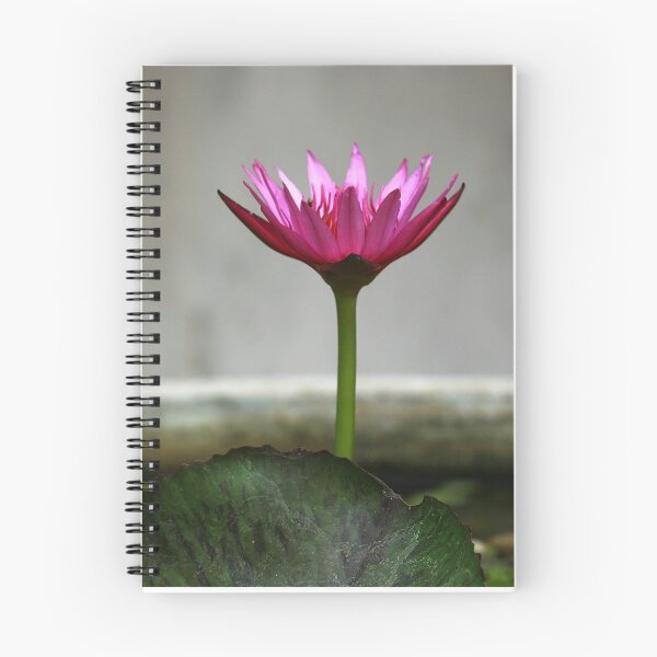 Item preview, Temple Lotus designed and sold by Stuart Robertson Reynolds.