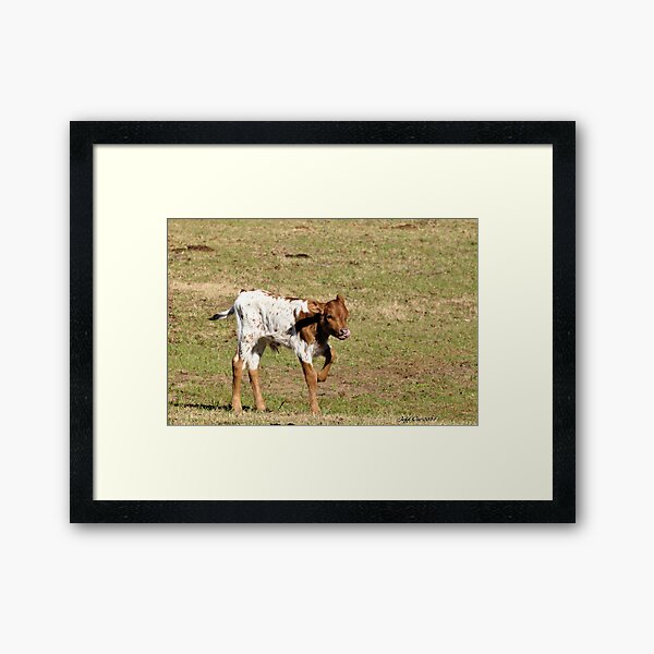 Item preview, New Born Calf designed and sold by Jeff Ore.
