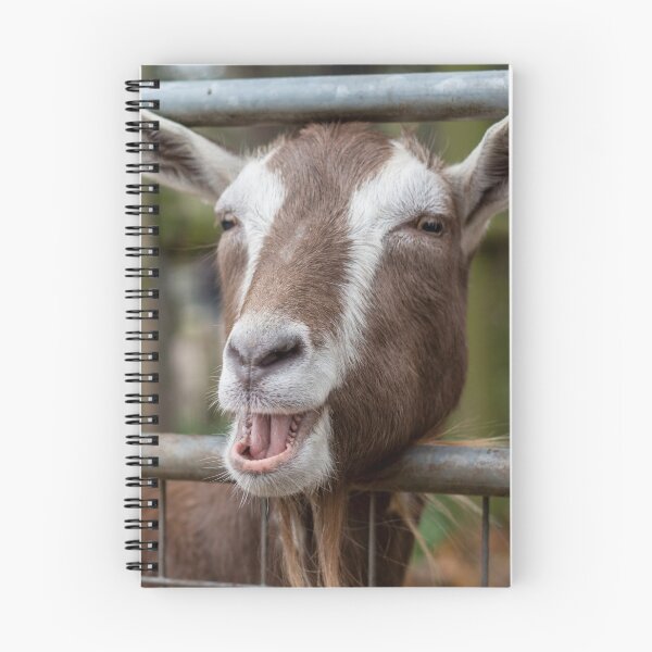 Item preview, Smiling goat on a farm designed and sold by Pokofoto.