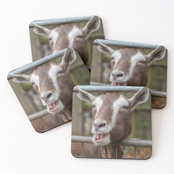 Item preview, Smiling goat on a farm designed and sold by Pokofoto.