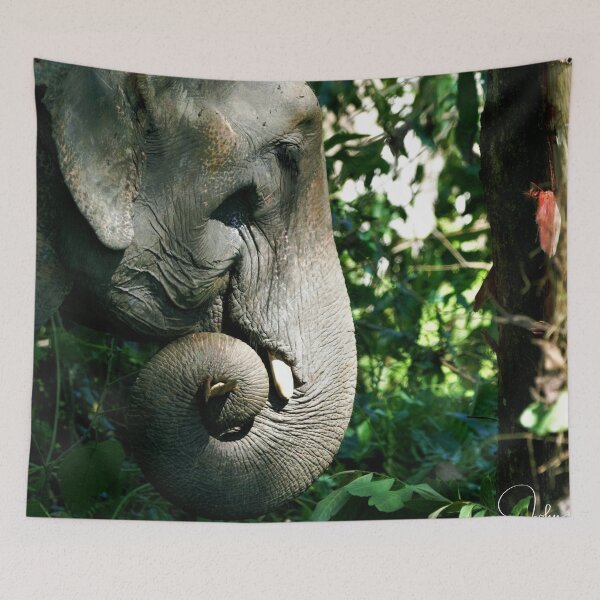Item preview, Wild Asian Elephant - Jungle Life  designed and sold by John Hodges.