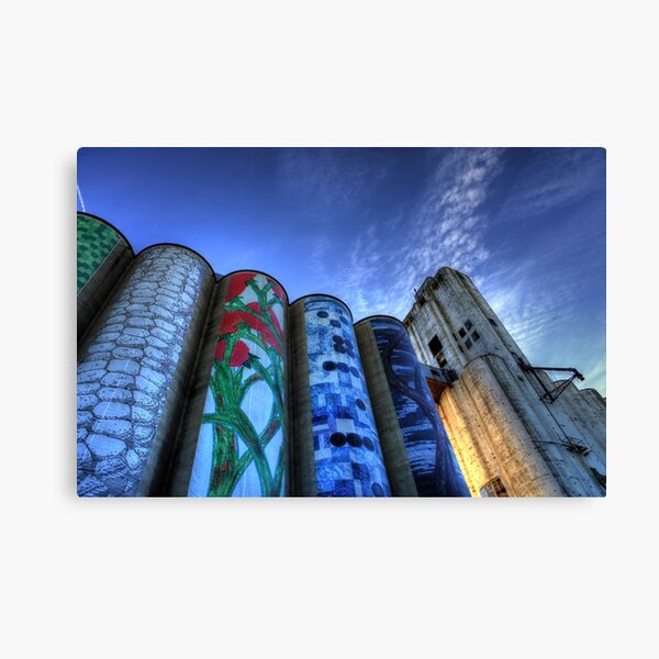 S4 Canvas Print