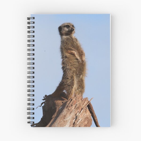 Item preview, Meerkat designed and sold by aquabella.